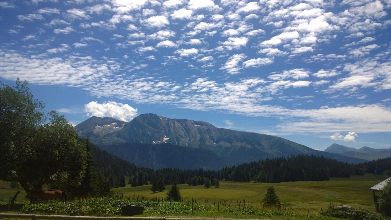 La Grive Famille & Montagne Studios 4Pers By Alpvision Residences Chamrousse Buitenkant foto